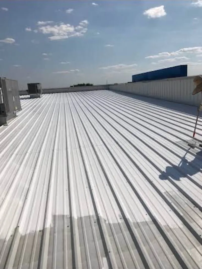 Sealing screws and joints on a metal roof with liquid butyl prior to coating